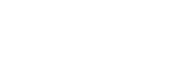 Assisind S.r.l.